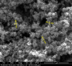 Carbon monofluoride  (Carbon-black fluoride)